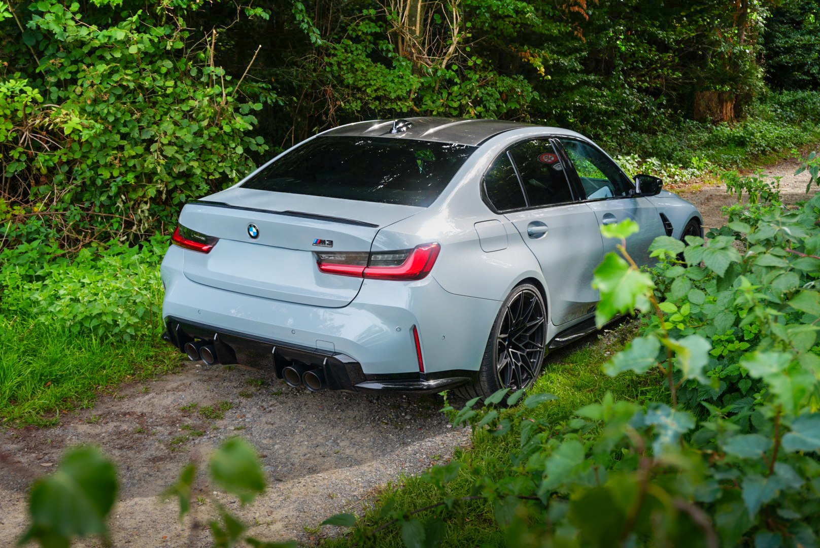 BMW Z4 — arrière forêt